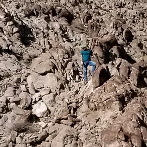 Meet your Posher, Trevor